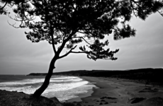 DSC02823.png