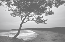 DSC02823.png